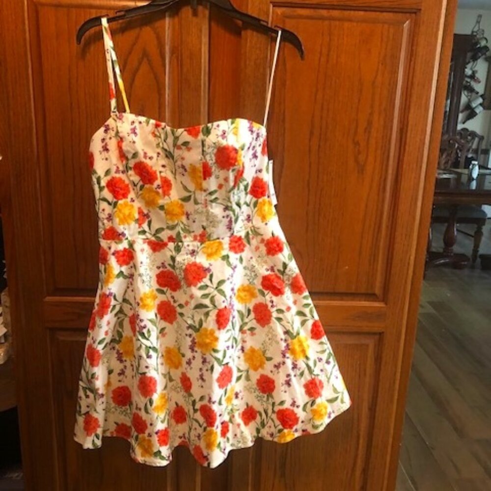 mi ami for Francesca's Spring floral dress Size Junior XL  NWt